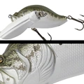 014 LARGE MOUTH BASS