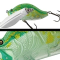 103 GREEN GLASS FROG
