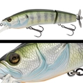 013 BLUE GILL