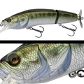 014 LARGE MOUTH BASS