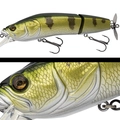 021 YELLOW PERCH