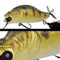 012 GOLDEN PEACOCK BASS