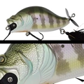 013 BLUE GILL