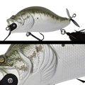 014 LARGE MOUTH BASS