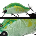 103 GREEN GLASS FROG
