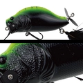 149 GREEN FLASH