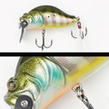 013 BLUE GILL