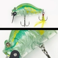 103 GREEN GLASS FROG