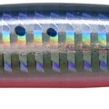Sardine RB