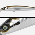 009 SILVER SHAD
