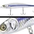 010 WAKASAGI