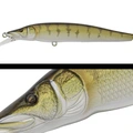 017 ZANDER