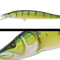 021 YELLOW PERCH