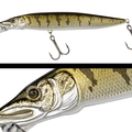 017 ZANDER