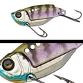 013 BLUE GILL
