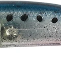 Sardine Spirit