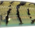 Tiger Shrimp