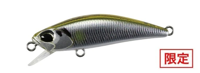 DUO International TETRA WORKS TOTO