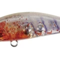 UV Ami Shrimp EX