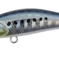 Sardine