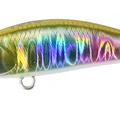 Gold Rainbow