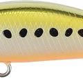 Golden Sardine
