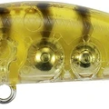 Gold Shrimp