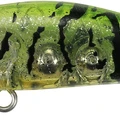 Rascal Shrimp