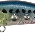 Sardine Spirit