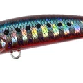 Red Sardine