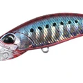 Red Sardine