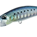 Sardine
