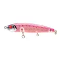 Pink Sardine