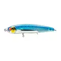 Sardine