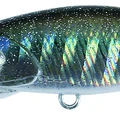 Rame Shiner