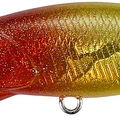 Gold Red Head