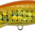 Orange Gold