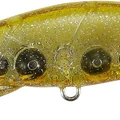 Tortoise Shell
