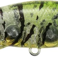 Rascal Shrimp