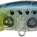 Sardine Spirit