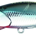 Fish Jr.
