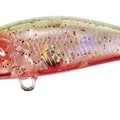 Spinning Bachiworm