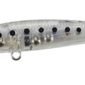 Anchovy Baby
