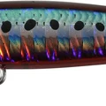 Red Sardine