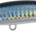 Ghost Saury