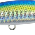 Ocean Blue Back