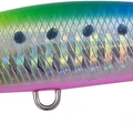 Vivid Sardine PB