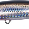 Waka Mullet