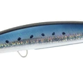 Scaled Sardine