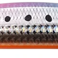 Sakura Sardine OB